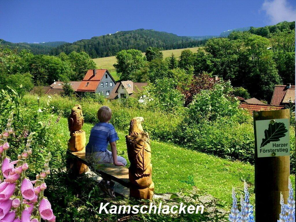 Gaestehaus Buendge Kamschlacken Extérieur photo